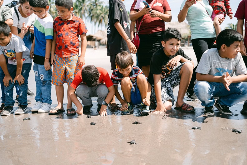 alt="Kinder schützen Meeresschildkröten, Ruben, El Salvador, Kinder lassen Schildkröten am Meer frei, Schildkröten laufen über den Sand in das Wasser, Compassion Deutschland"